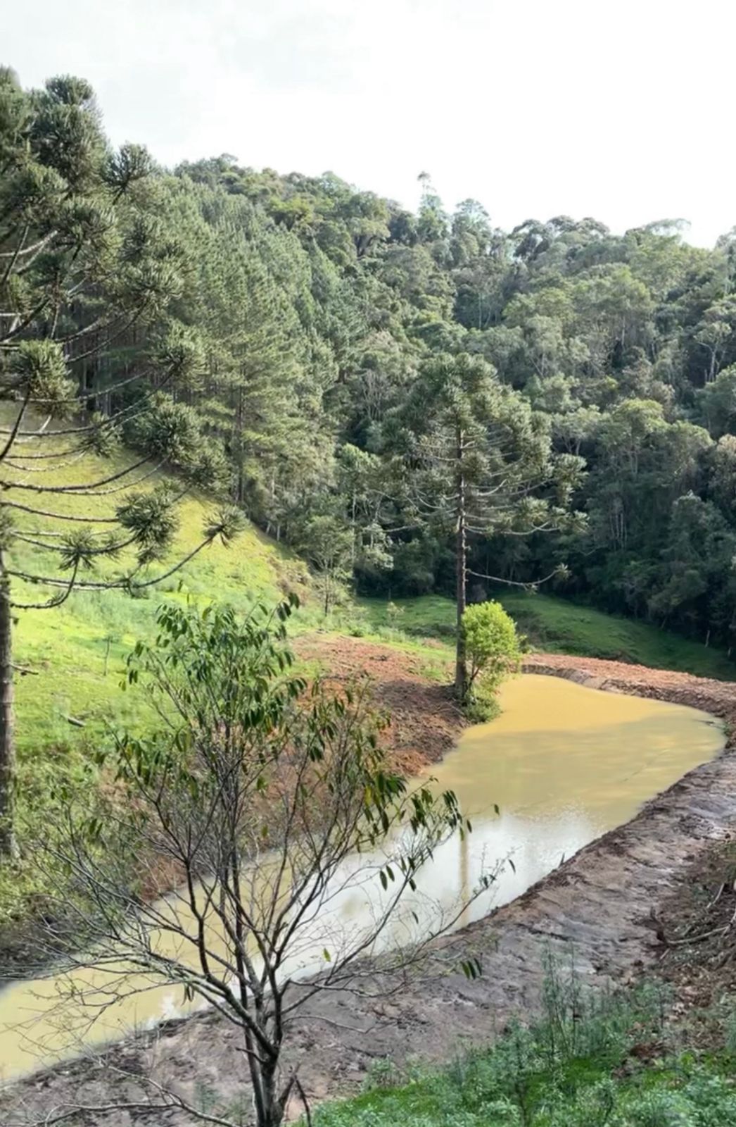 Foto12